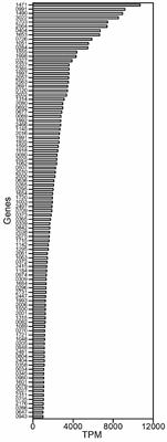 Identification of Gradient Promoters of Gluconobacter oxydans and Their Applications in the Biosynthesis of 2-Keto-L-Gulonic Acid